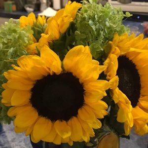 Meet your Posher, Judy